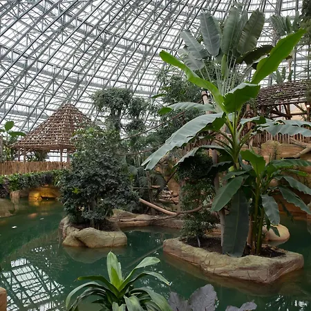 Les Jardins De Beauval-2